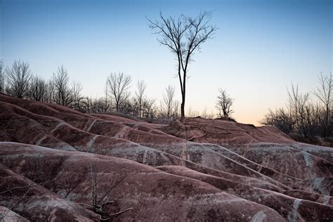 Fotos Gratis Paisaje Rbol Naturaleza Rock Desierto Monta A