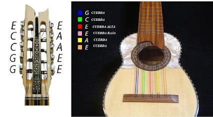 Tonitomusical Luthier Afinación de diferentes instrumentos de cuerda