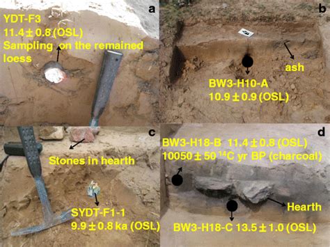 Typical Osl Sampling Positions In Hearth Dating A Ytd F Is Sampled