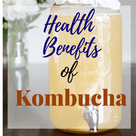 Health Benefits Of Kombucha