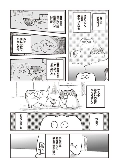 愛猫との別れ」に直面したら22」くらげバンチ 公式の漫画