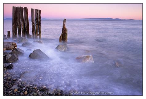 Lighthouse Marine Park - David Blevins Nature Photography