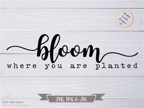 Bloom Where You Are Planted SVG Inspirational Saying Etsy