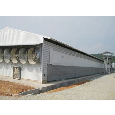 Building Steel Structure Welding Poultry Farm Shed Prefab House For