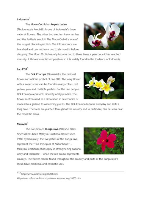 Asean National Flowers Pdf