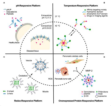 Figure 1 From Tumor Microenvironmentresponsive Peptide Based Supramolecular Drug Delivery