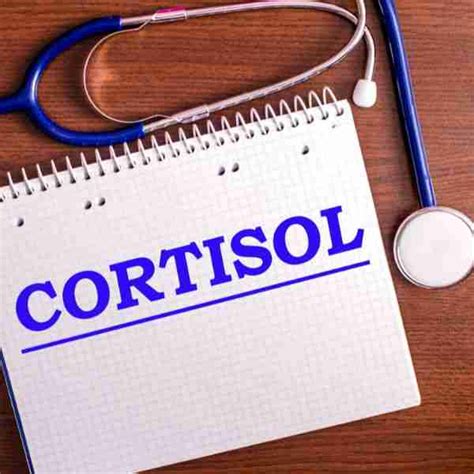 C Mo Bajar Los Niveles De Cortisol En El Cuerpo Estrategias Para