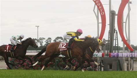 【金鯱賞】プログノーシス重賞初制覇！！ディープ産駒がタイトルゲット― スポニチ Sponichi Annex ギャンブル