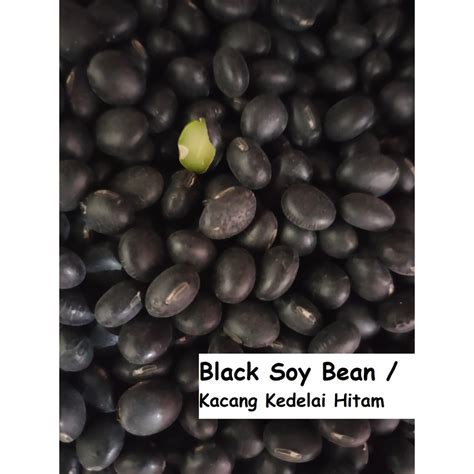 Black Soy Bean Seed Biji Kacang Taugeh Hitam Soybean Kacang Soya