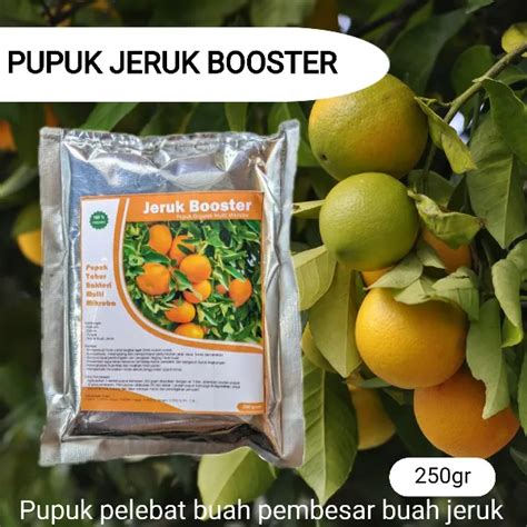 Booster Jeruk Organik Agar Cepat Berbuah Lebat Ampuh Pupuk Pelebat Buah