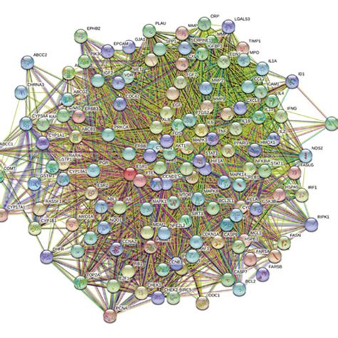 Ppi Network Diagram Of Intersection Targets A Ppi Network Diagram