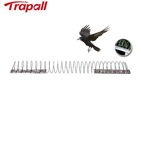 Outdoor Garden Flexible Pigeons Sparrow Cat Control Anti Bird Spikes