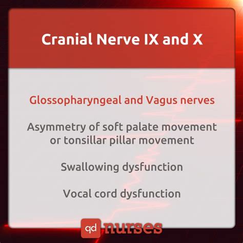 Cranial Nerves Mnemonics To Help You Pass Your Exams