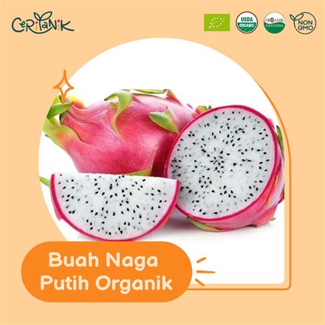 Jual Buah Naga Organik 500 Gram Ceritanik Dragon Fruit Organic