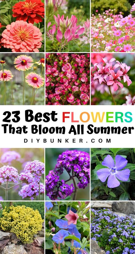 The Best Flowers That Bloom All Summer