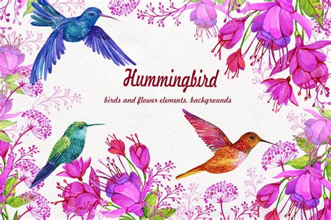 Hummingbirds And Flowers Clipart