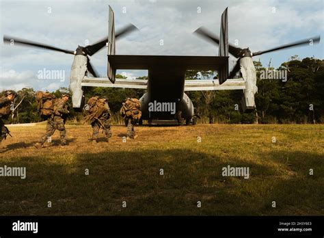 U S Marines With D Battalion Th Marines Board An Mv B Osprey