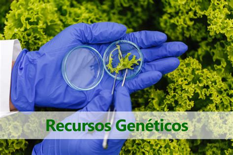 Recursos Gen Ticos