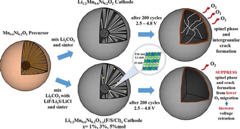 Systematic Study Of Different Anion Doping On The Electrochemical