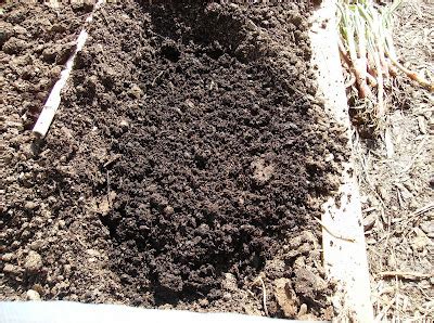 The Rusted Vegetable Garden