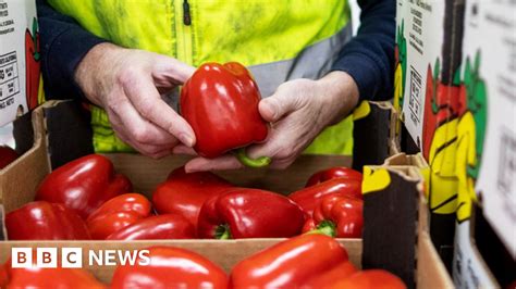 New Brexit Food Checks Will Test Britains Supply Chains Bbc News