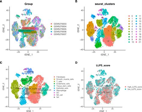 Frontiers Single Cell Sequencing Analysis And Transcriptome Analysis