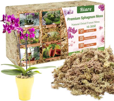 Amazon Riare 10 OZ Premium Sphagnum Moss Natural Long Fibered