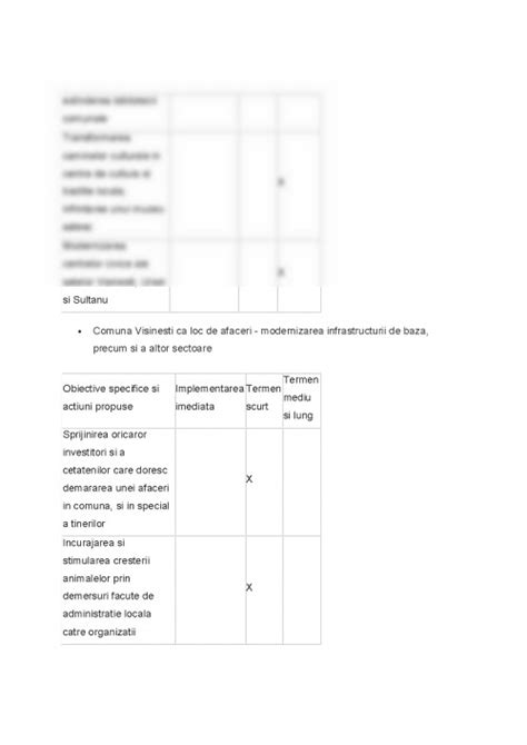 Referat Analiza Swot Vi Ine Ti