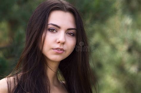 Graceful Charming Brunette Model Posing In Black Dress In Coniferous