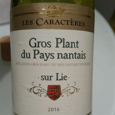 Les Caract Res Sur Lie Gros Plant Du Pays Nantais White Blend