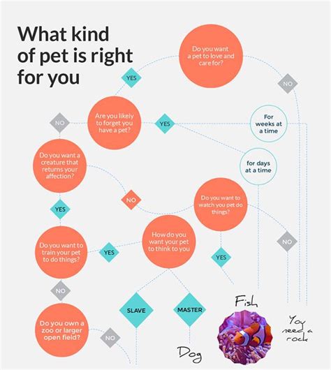 Free Online Flowcharts Maker - Create Flow Diagram With Ease | Flow ...