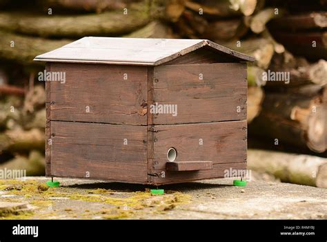 Bumblebee Nest Box Hi Res Stock Photography And Images Alamy