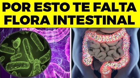 ALERTA Por Esta Razón Tienes La FLORA INTESTINAL DAÑADA Esto Afecta