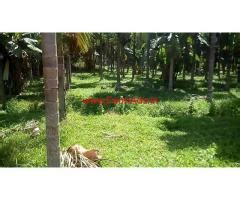 Acre Areca Farm Land For Sale In Karkala Karkala Udupi Farmads In