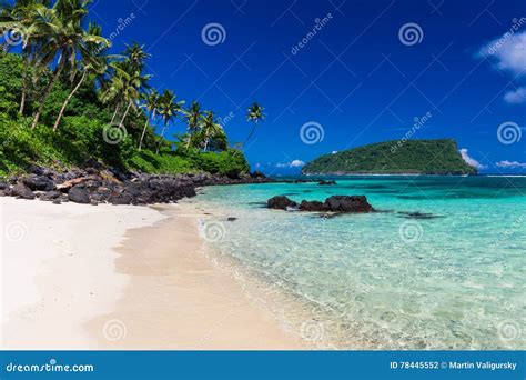 Tropical Lalomanu Beach on Samoa Island with Coconut Palm Trees Stock ...