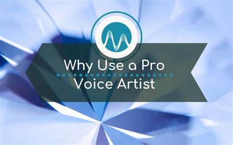 Why Use Professional Voice Over Artist - Voice Overs You Will Love