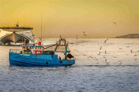 La nueva Ley de pesca sabes en qué consiste Entra