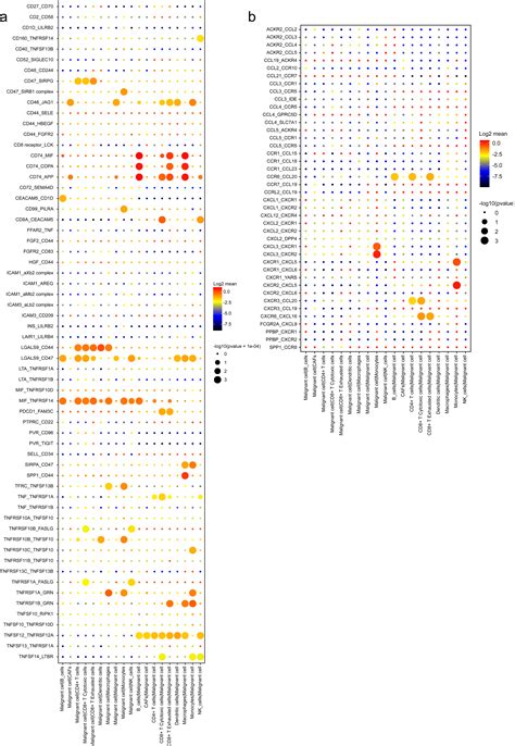 Single Cell Transcriptome Reveals The Heterogeneity Of Malignant Ductal