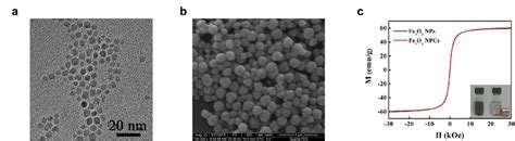 Characterization Of The Superparamagnetic Fe O Nanoparticle Clusters