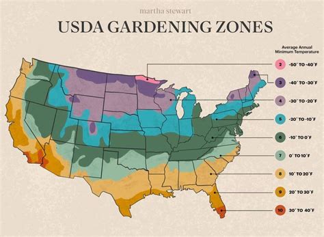 How To Find Your Gardening Zone—plus The Best Plants To Grow In Your Region Gardening Zones