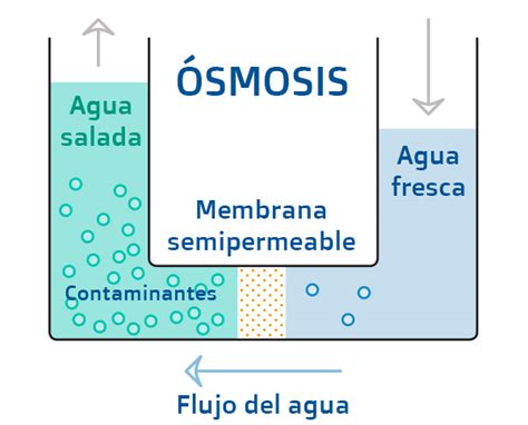 Historia De La Ósmosis Inversa Lahistoria