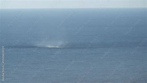 View of the early stage of a waterspout forming at the ocean surface ...