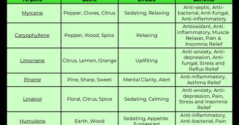 The Medical Marijuana Guide: What Are Terpenes?