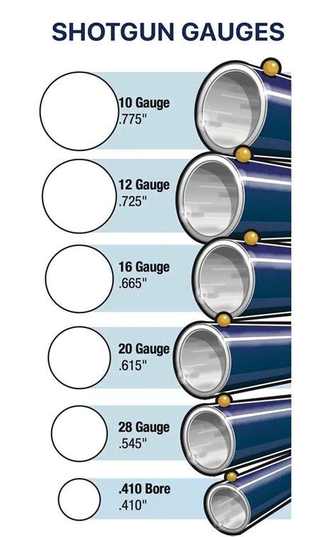 Shotgun Shell Gauge Dimensions