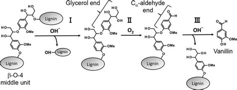 Depolymerization Of Native Lignin Into Vanillin Vanillic Acid And