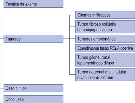 Aspectos De Imagem Dos Principais Tumores Do Sistema Nervoso Central Em