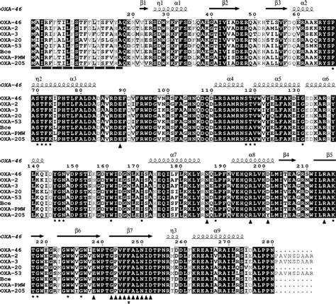 Amino Acid Sequence Comparison Of Oxa 205 With The Representatives Of