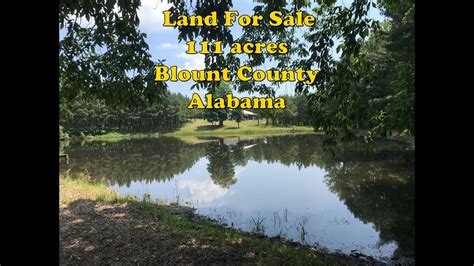 Land For Sale In Blount County Alabama 111 Acres Youtube