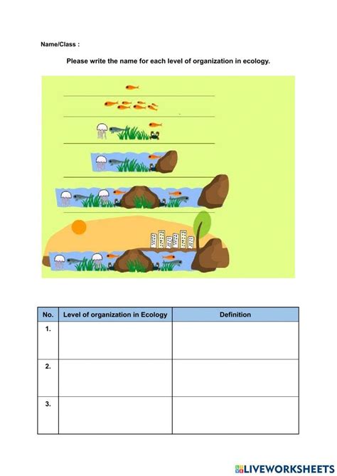 Level of Organization in Ecology worksheet - Worksheets Library