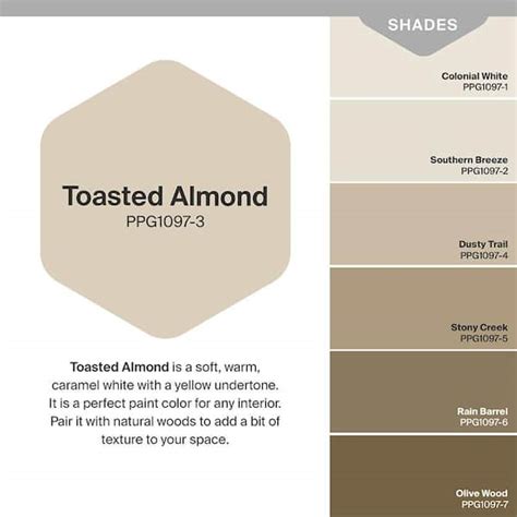 Sherwin Williams Toasted Almond Paint Color Infoupdate Org